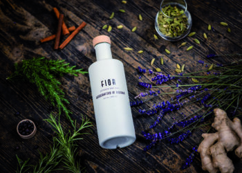 Fünf Freunde und ein Gin