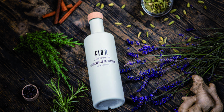 Fünf Freunde und ein Gin