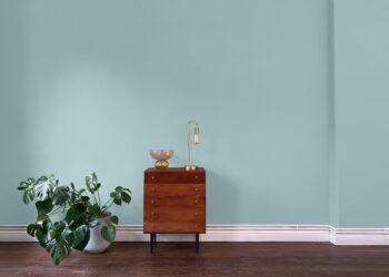 HORST bringt Farbe ins Leben