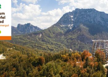 Der Baumwipfelpfad im Salzkammergut