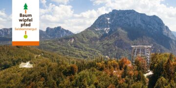 Der Baumwipfelpfad im Salzkammergut