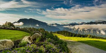 Das erste Lesehotel Österreichs