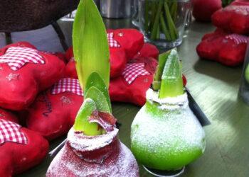 Gärtnerei Dopetsberger