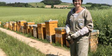 VON DER BANK ZUR BIENE