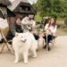 Schau aufs Land Team