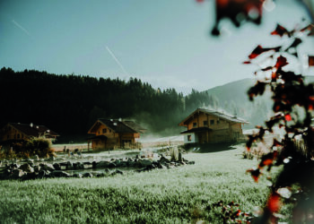 Rosige Aussichten für den Herbst