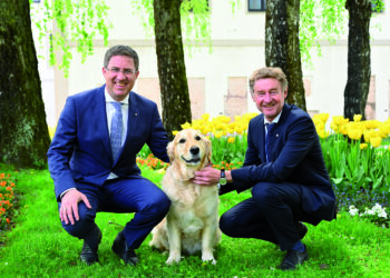 Hundebroschüre für Wels