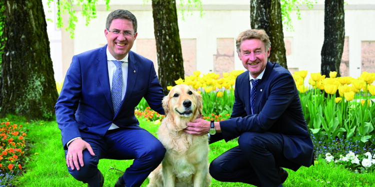 Hundebroschüre für Wels