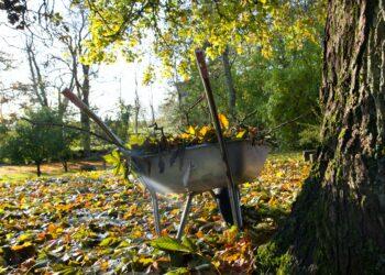Gartenpflege im Herbst