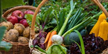 Eferdinger Land – da steckt Genuss drin!