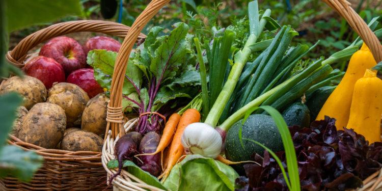 Eferdinger Land – da steckt Genuss drin!