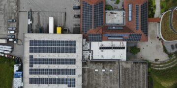 Neo-Ökologie als Zukunftsstrategie