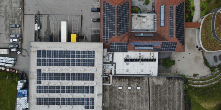 Neo-Ökologie als Zukunftsstrategie