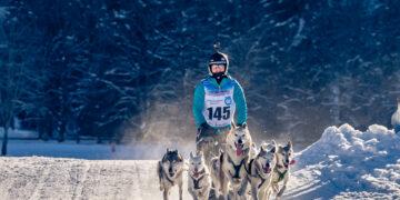 Faszination Schlittenhunde