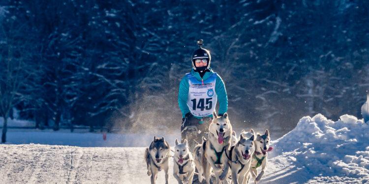 Faszination Schlittenhunde