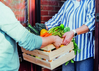 Ein Stück vom Ernteglück
