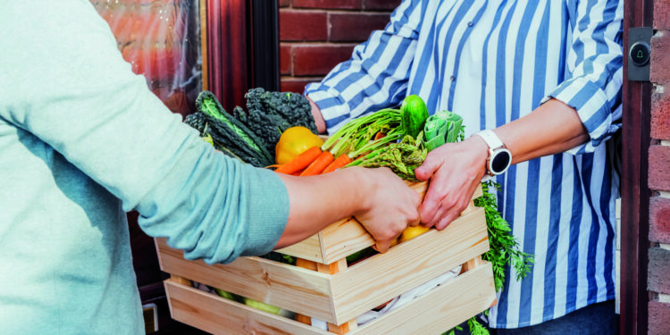 Ein Stück vom Ernteglück