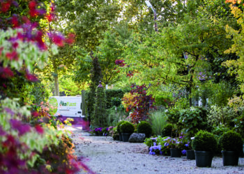 Frühjahrszeit ist Gartenplanungszeit