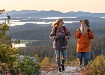 Die Wunder der Natur im sommerlichen Lappland