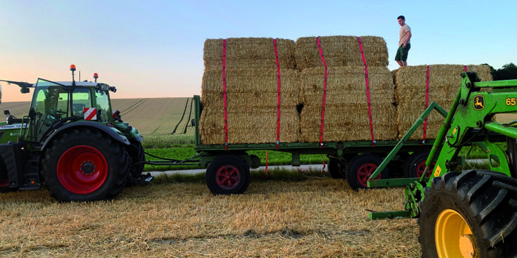 Bäuerin mit Herzblut am Saxmair-Hof