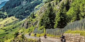 Frühlingsgefühle auf dem Asphalt