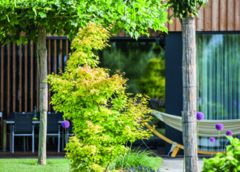 Das wird mein Sommer unterm Baum