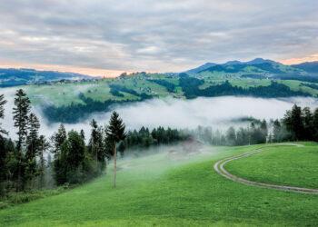 Die Kunst, Gelassenheit und Freude zu verbinden