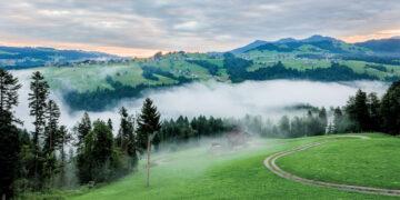 Die Kunst, Gelassenheit und Freude zu verbinden