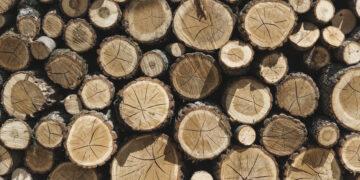 Unternehmen, die auf Holz gebaut sind