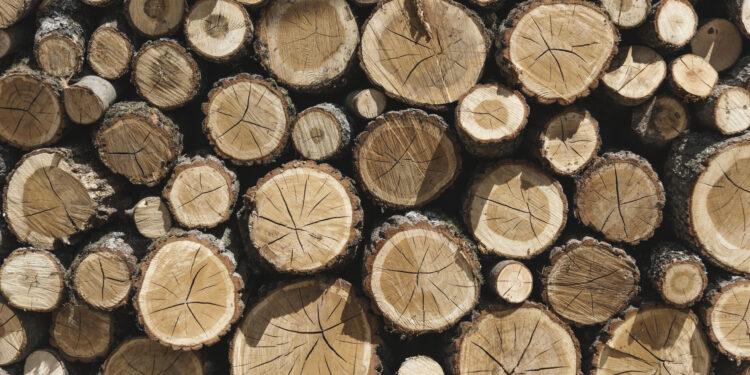 Unternehmen, die auf Holz gebaut sind