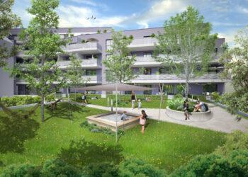 Consulting Company baut in Linz