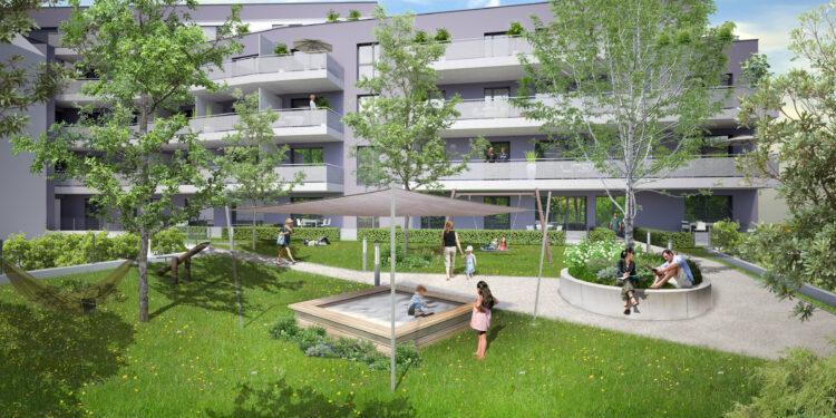 Consulting Company baut in Linz