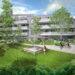 Consulting Company baut in Linz