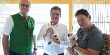 Ein Herz für Katzen in Freistadt