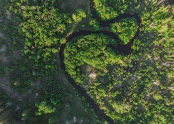 Ist grünes Gas die Lösung?