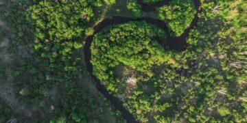 Ist grünes Gas die Lösung?