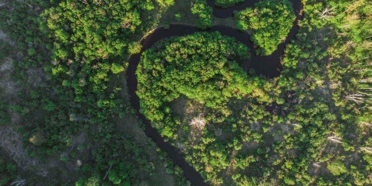 Ist grünes Gas die Lösung?