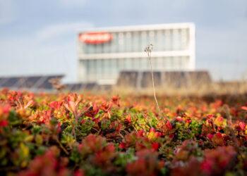 Fronius holt Gold bei EcoVadis-Rating