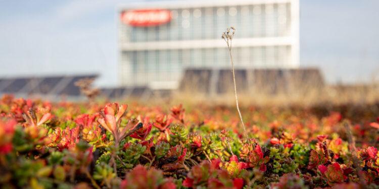 Fronius holt Gold bei EcoVadis-Rating