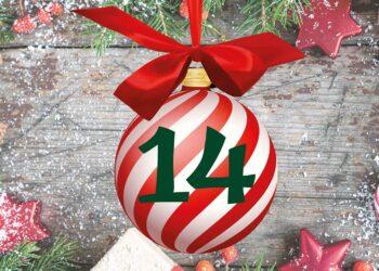 8. Adventtürchen