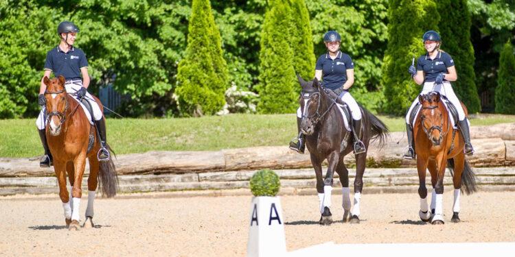 Pferdezentrum Stadl-Paura