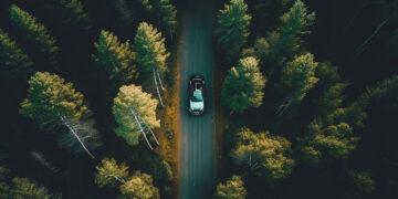 Auto fährt auf einer Straße im Wald