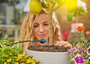 Mit cleveren Bewässerungslösungen lassen sich anspruchsvolle Kräuter- und Gemüsepflanzen besonders effizient und direkt an der Wurzel bewässern.