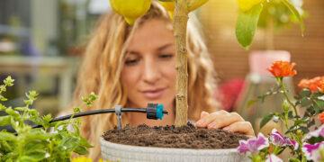 Mit cleveren Bewässerungslösungen lassen sich anspruchsvolle Kräuter- und Gemüsepflanzen besonders effizient und direkt an der Wurzel bewässern.