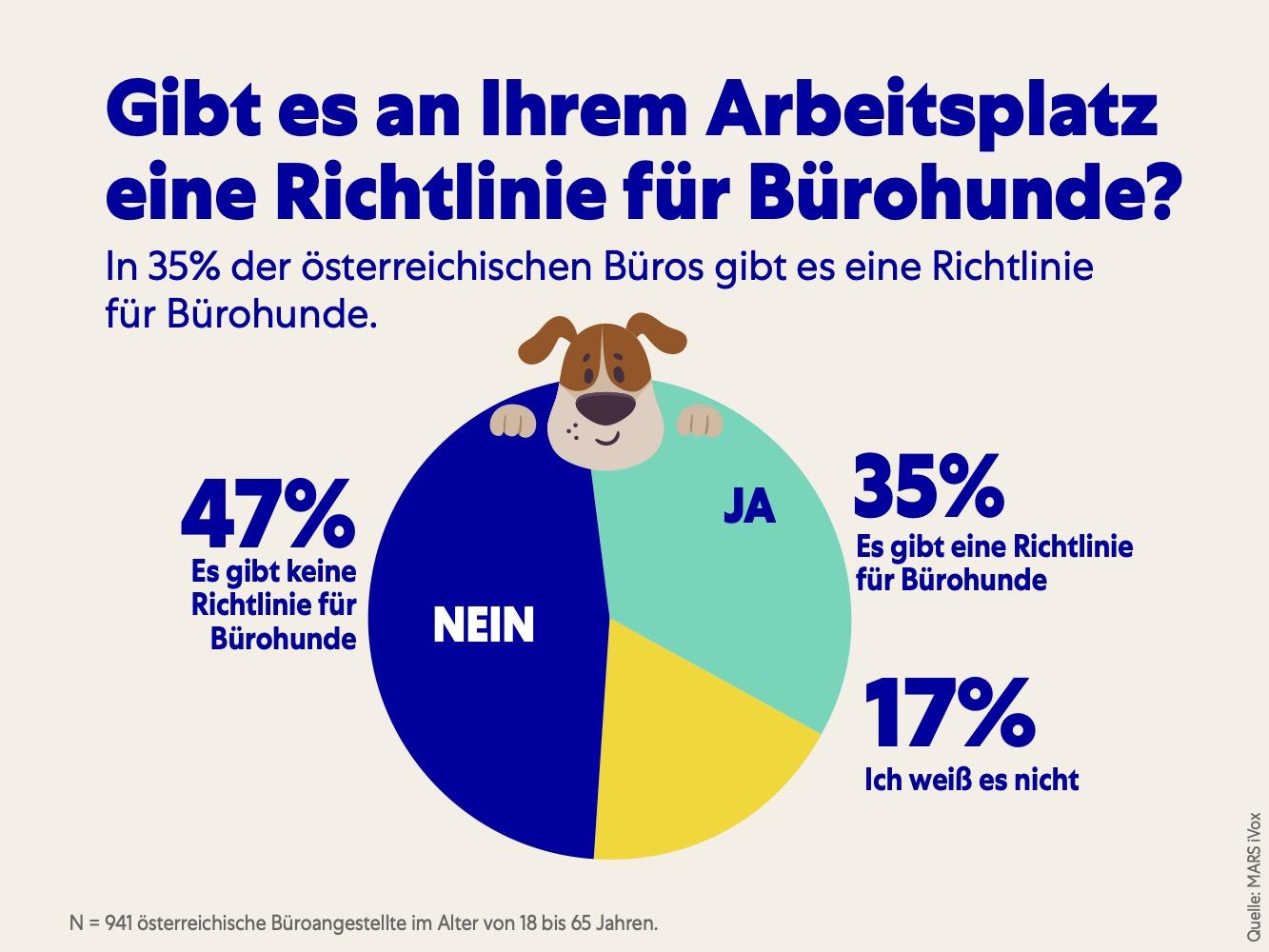 Hunde im Büro 