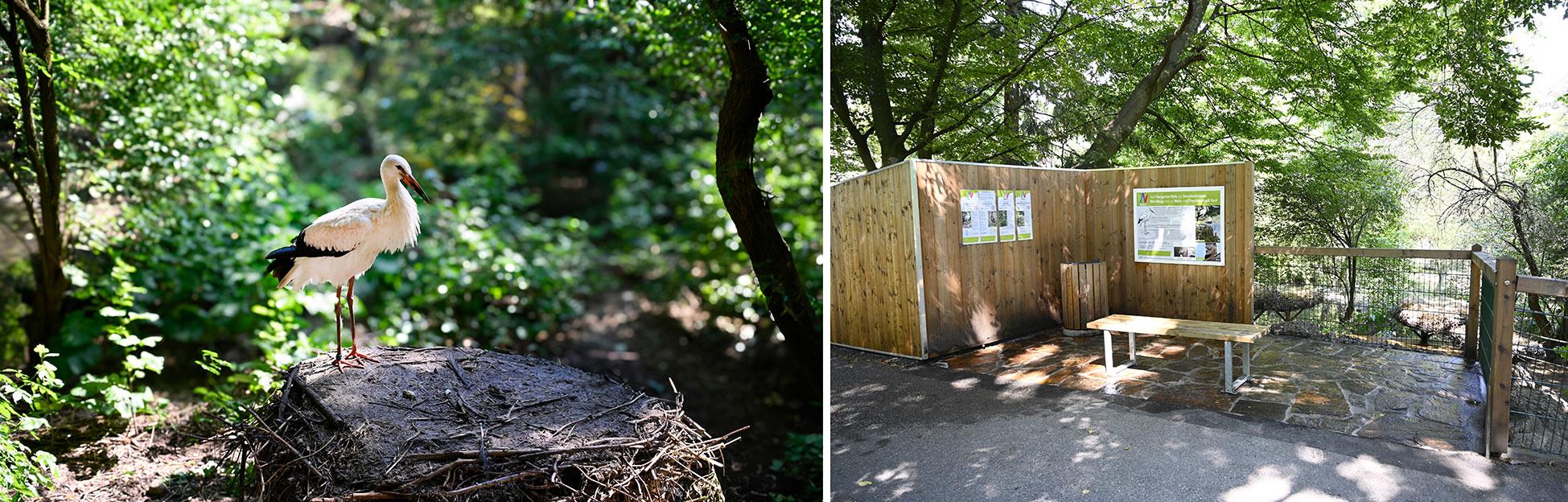 Storch und Storchenplatz im Welser Tiergarten