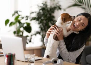 Hund am Arbeitsplatz