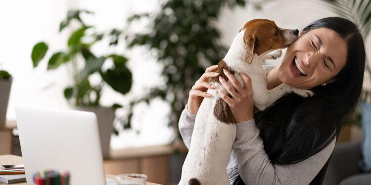 Hund am Arbeitsplatz