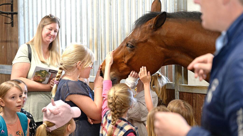 Kinder streicheln Pferd