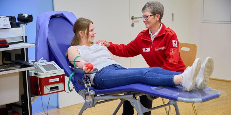Blutspenden Rotes Kreuz